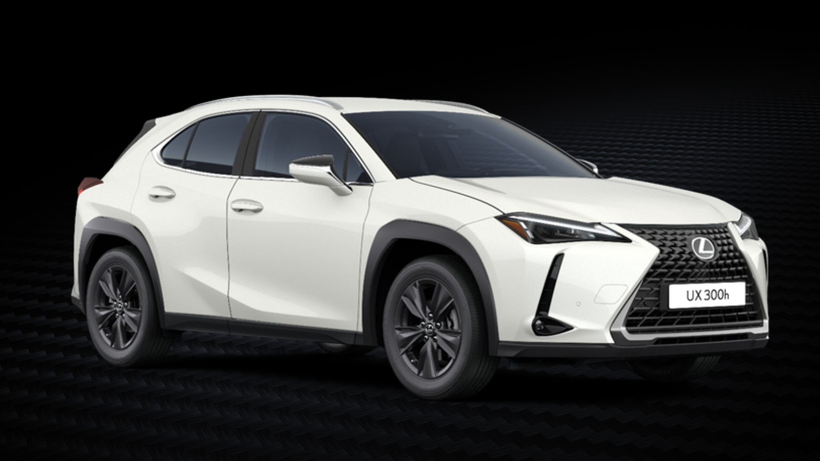 Lexus UX 250 1600 Hybrid Benzina